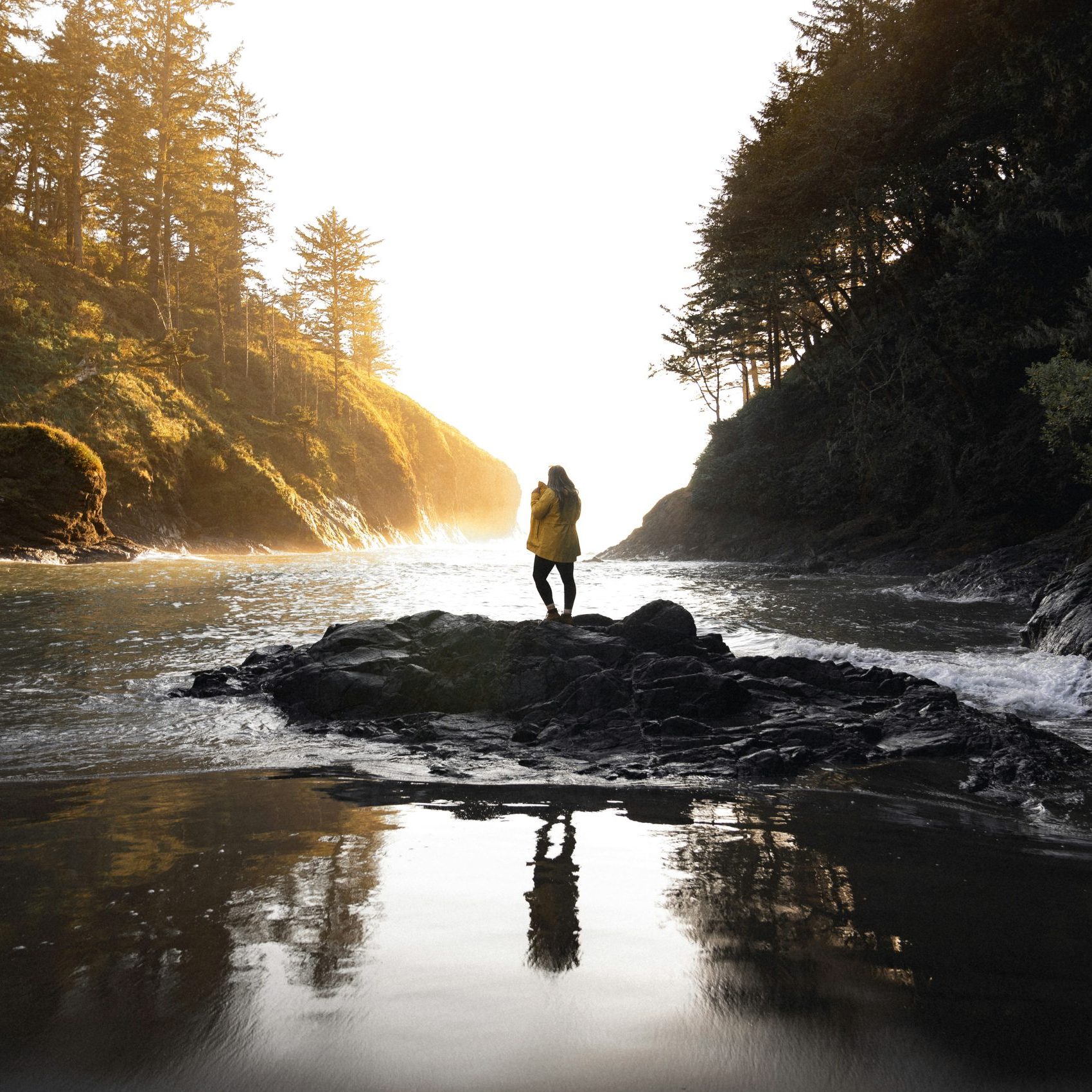 karsten-winegeart-gkIAzP73DqQ-unsplash