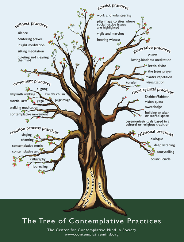 Tree diagram showing categories of contemplative practices like meditation, prayer, and service.